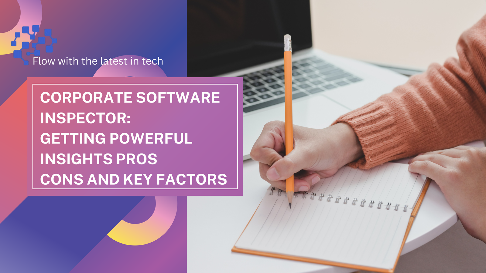 Corporate Software Inspector
