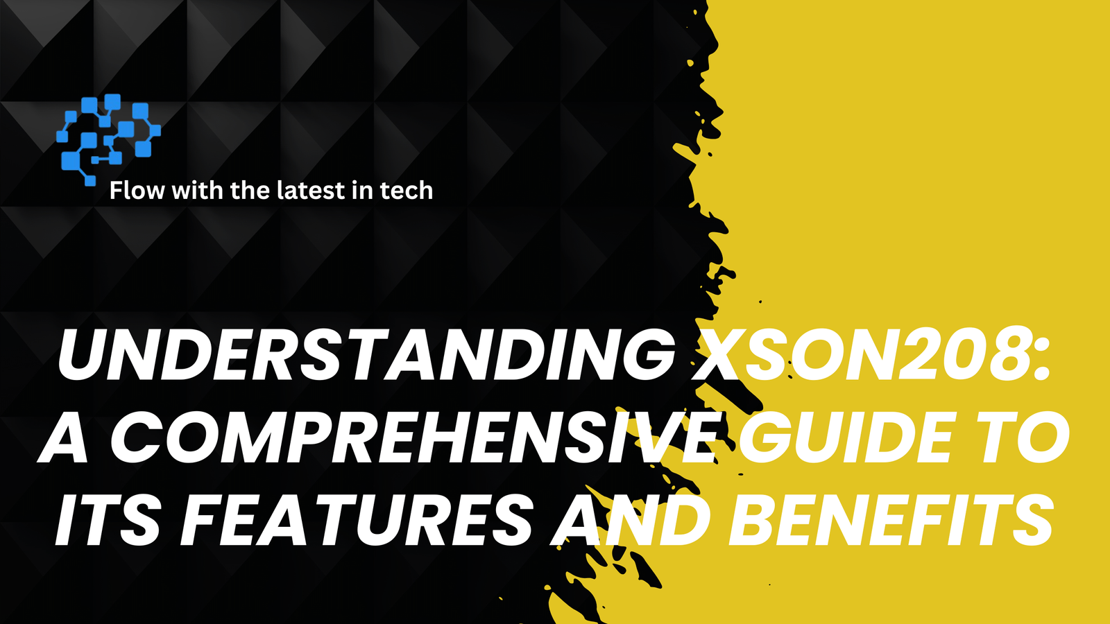Xson208